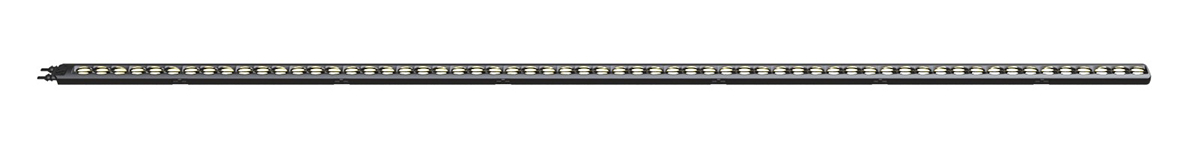 Backbone Even Lens 36