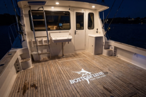 Logo Projector - Marine Marine grade logo projector for boats